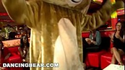DANCING BEAR - This Night Club Is On Fire! Girls Sucking Dick All Over The Place